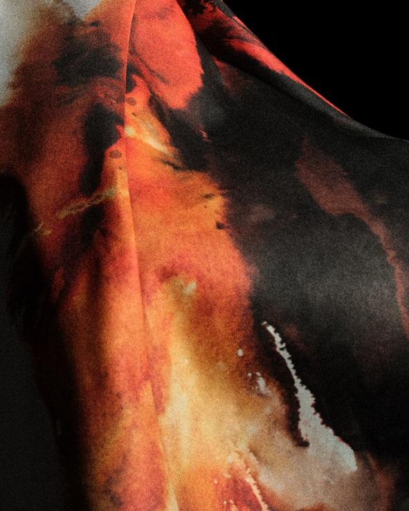 这不仅展示 这不仅展示