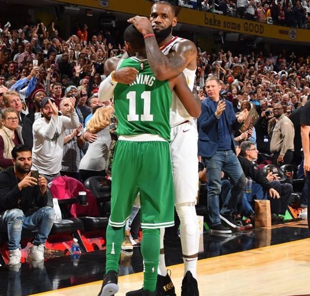 动的小鱼 动的小鱼